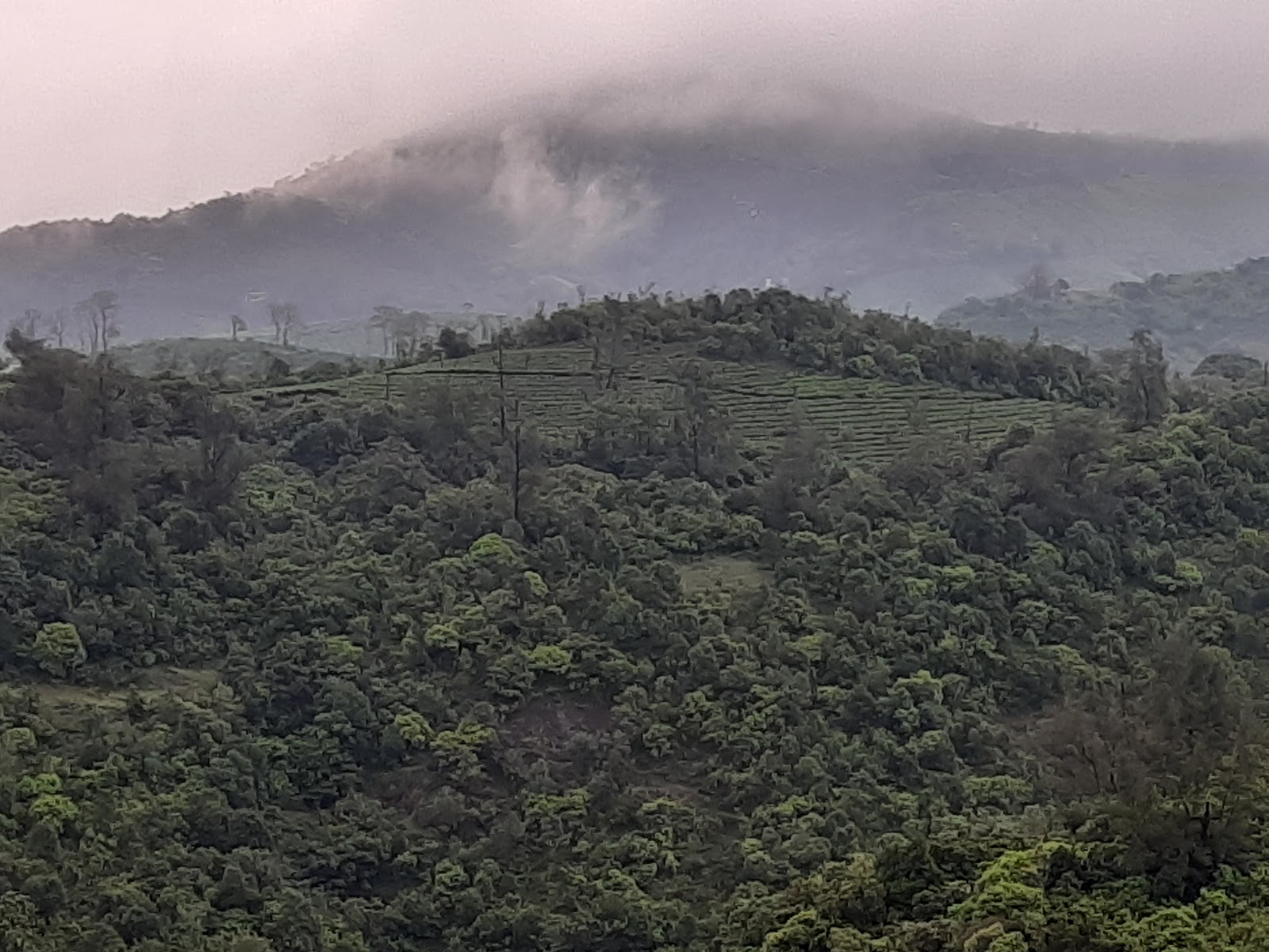 Vagamon Hill Station