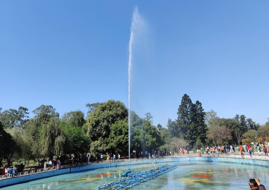 Chandigarh Rose Garden