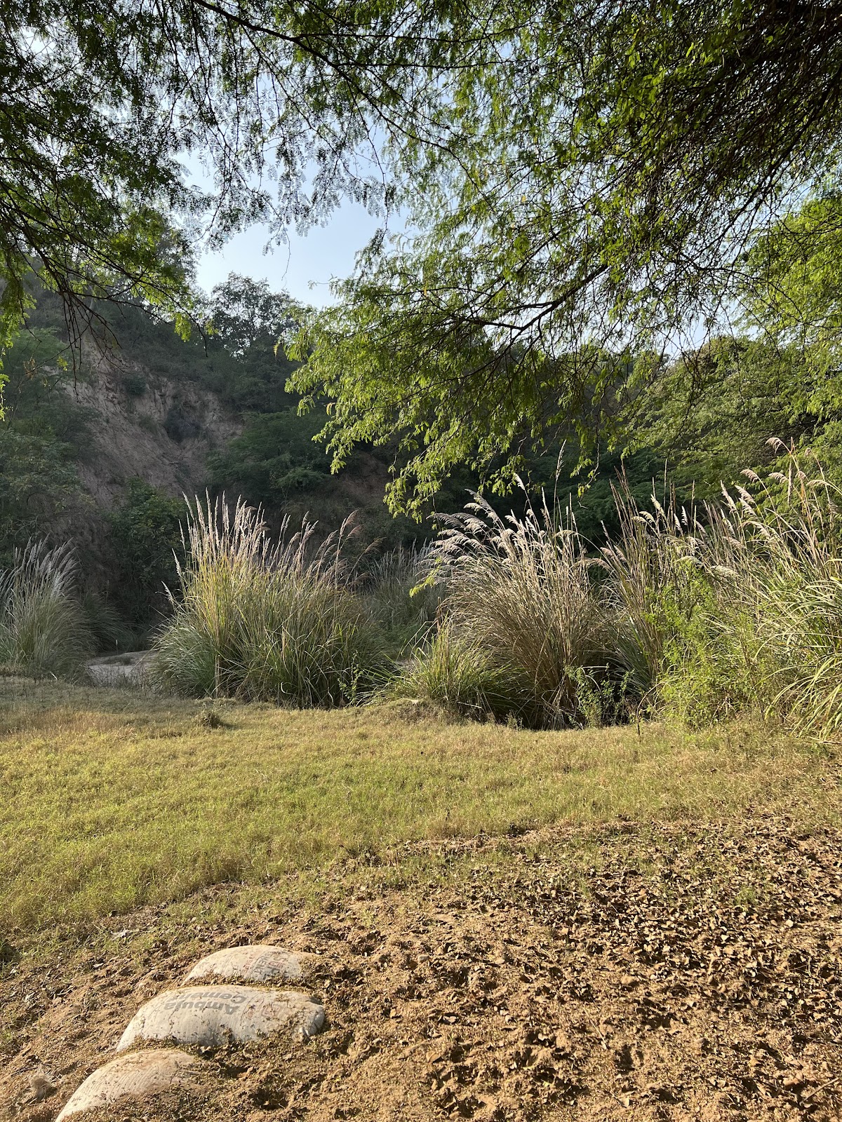 Sukhna Wildlife Sanctuary