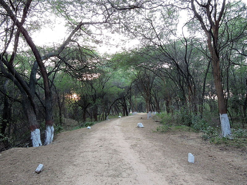 Sukhna Wildlife Sanctuary
