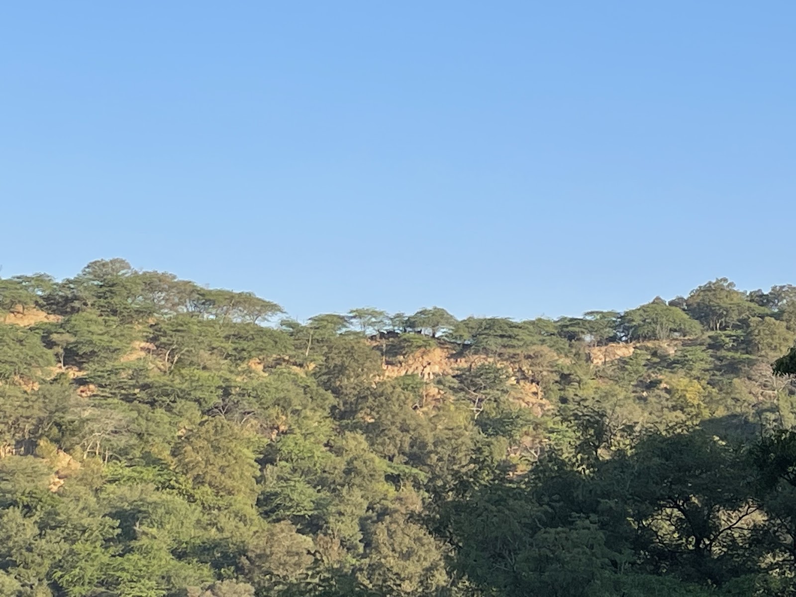 Sukhna Wildlife Sanctuary