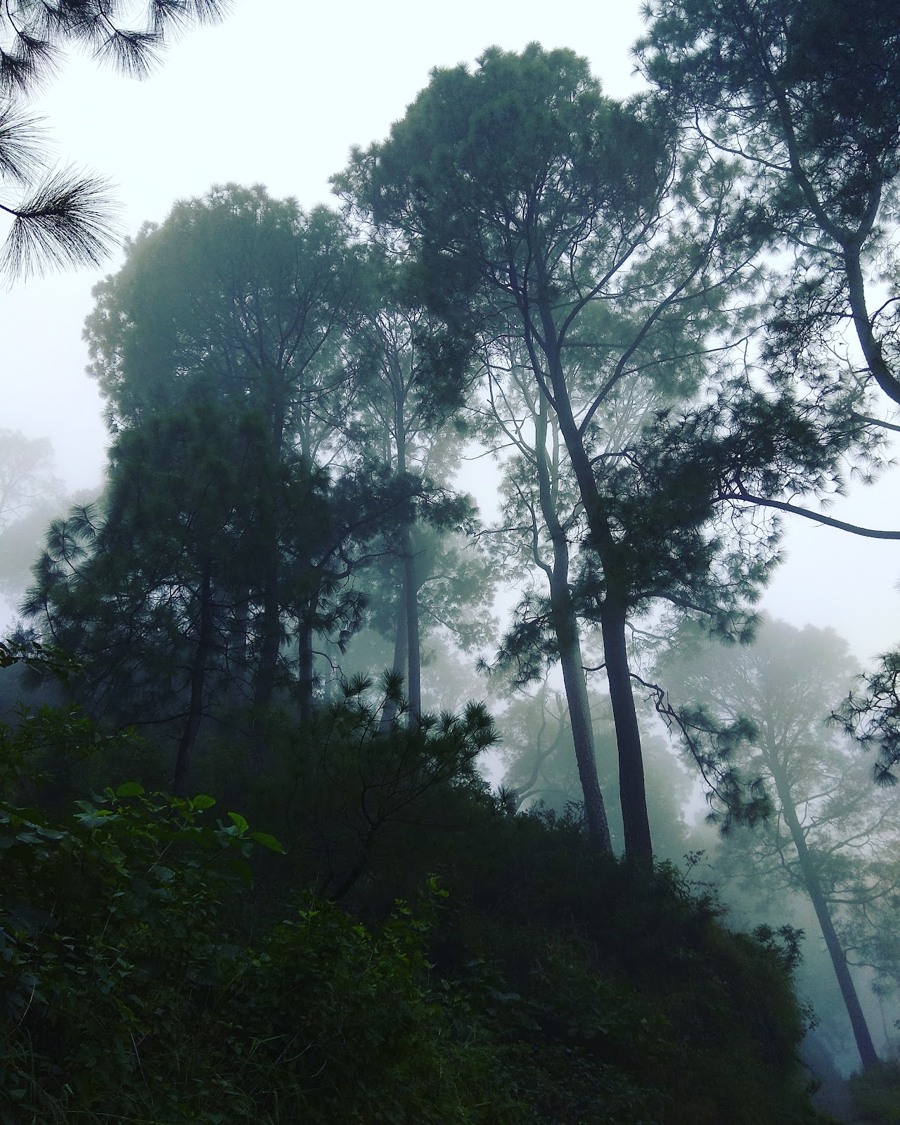 Sukhna Wildlife Sanctuary