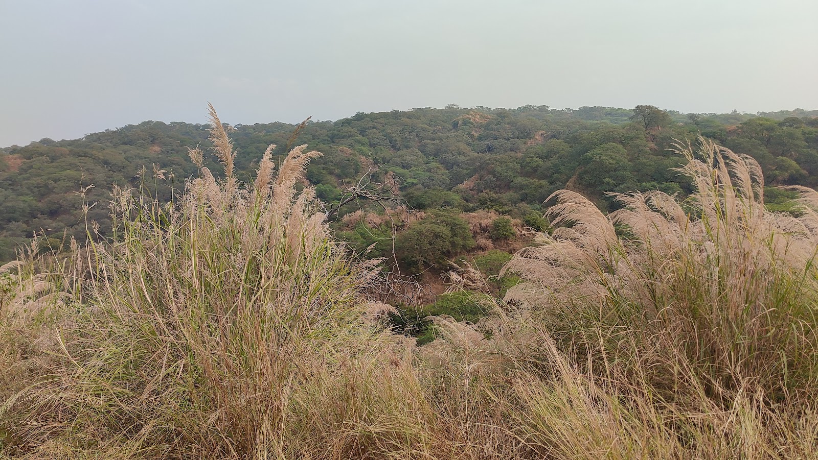 Sukhna Wildlife Sanctuary