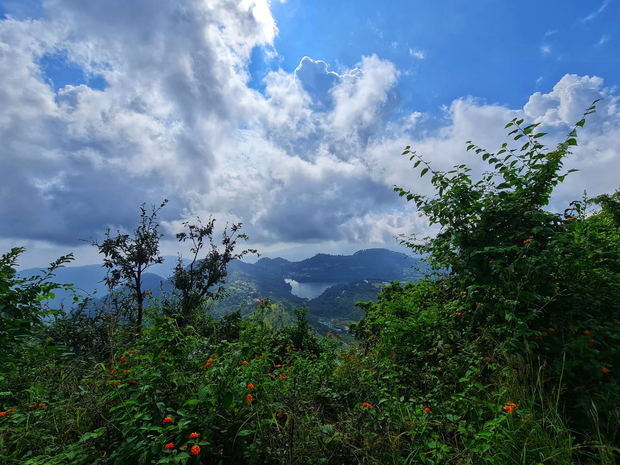 Pangot, Uttarakhand, India: Birding Paradise & Himalayan Retreat