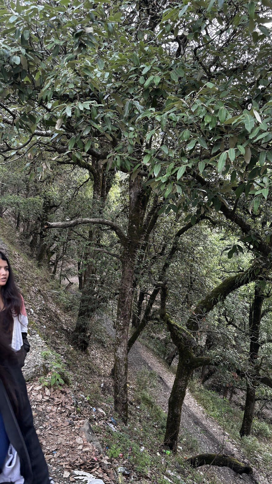 Pangot and Kilbury Bird Sanctuary