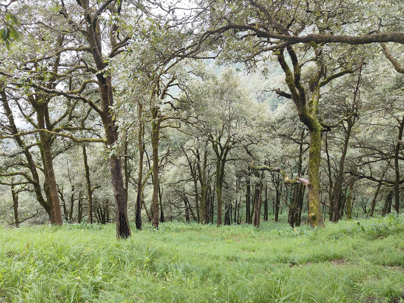 Pangot and Kilbury Bird Sanctuary