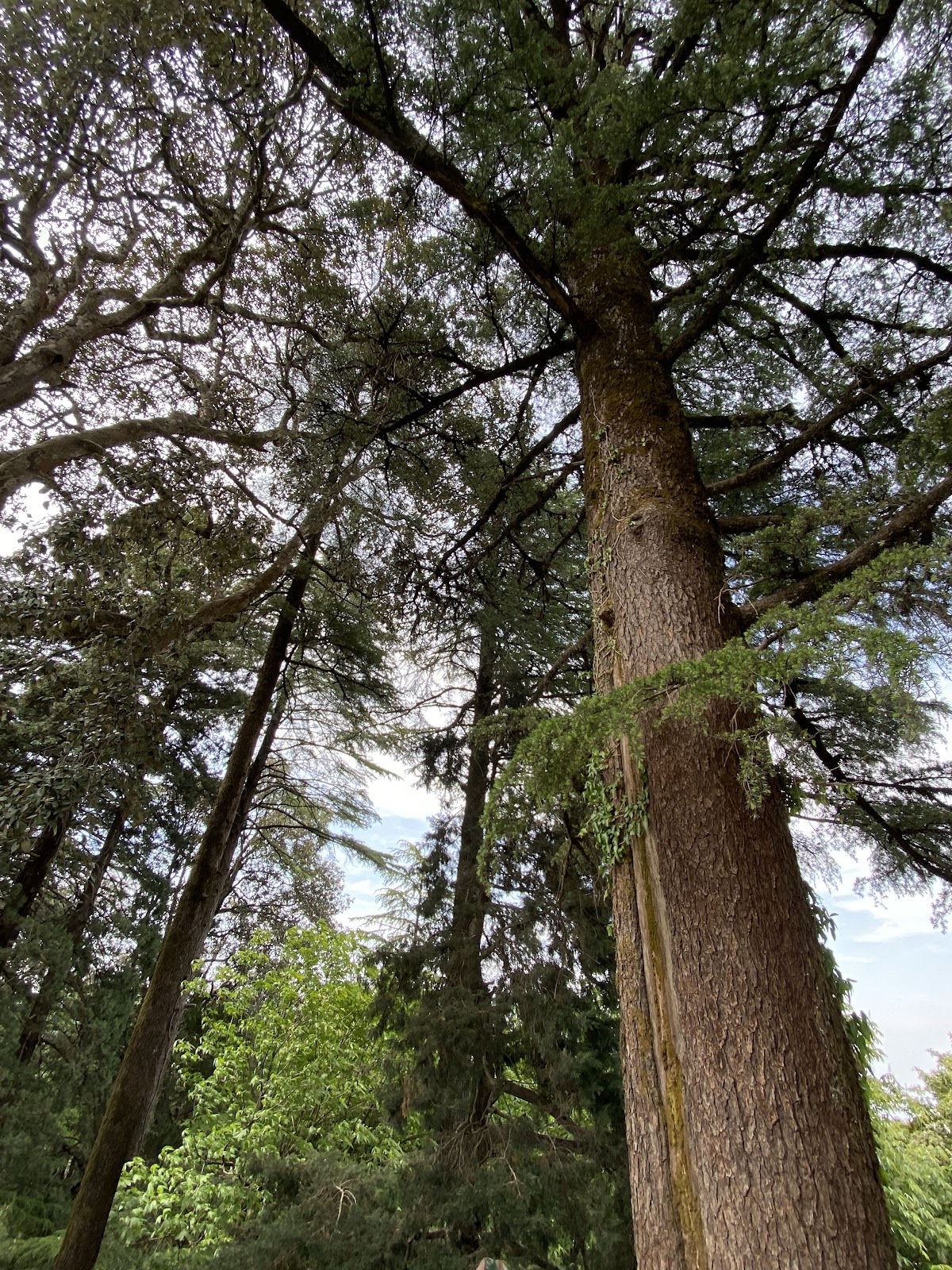 Pangot and Kilbury Bird Sanctuary