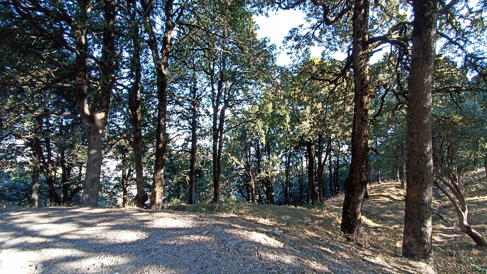 Pangot and Kilbury Bird Sanctuary