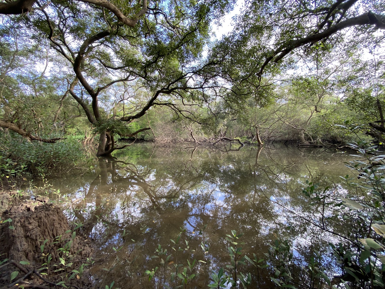Salim Ali Bird Sanctuary