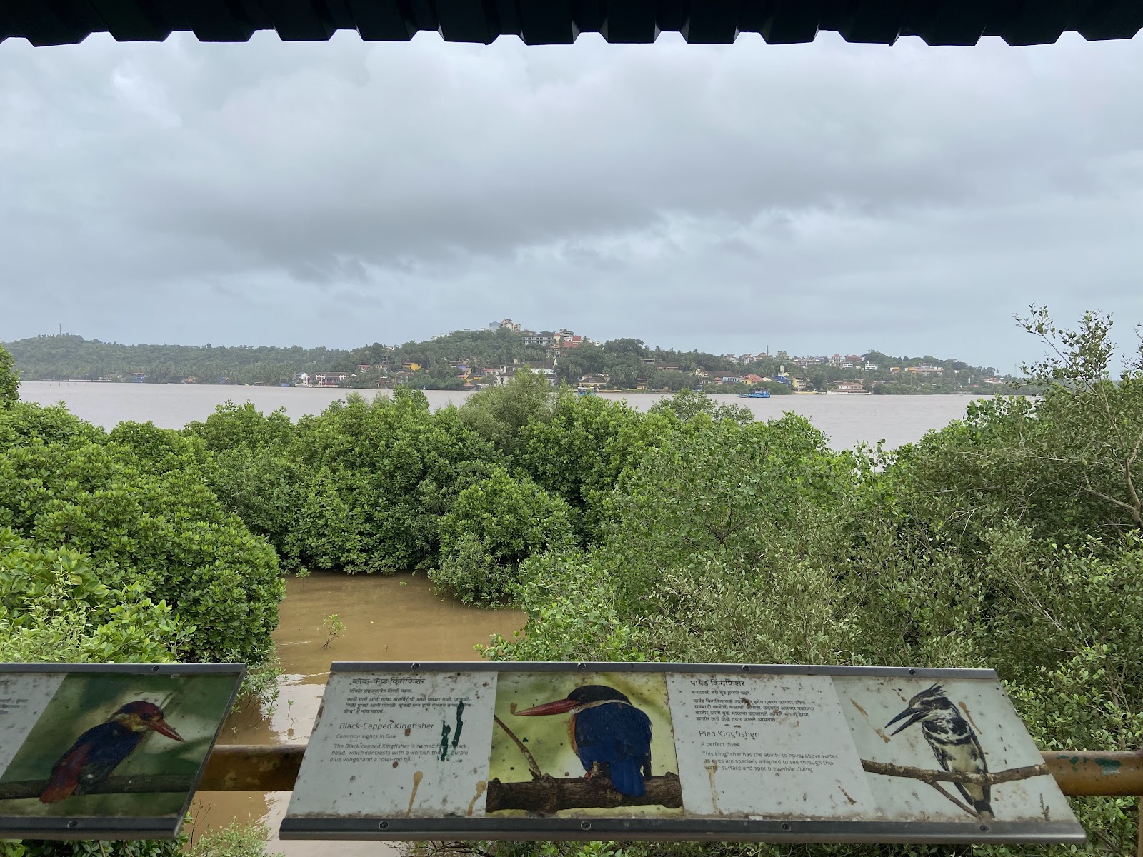 Salim Ali Bird Sanctuary