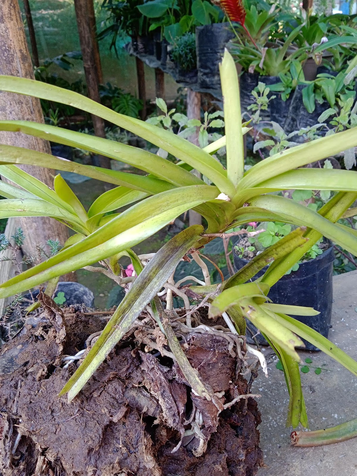 Cultural Heritage Center