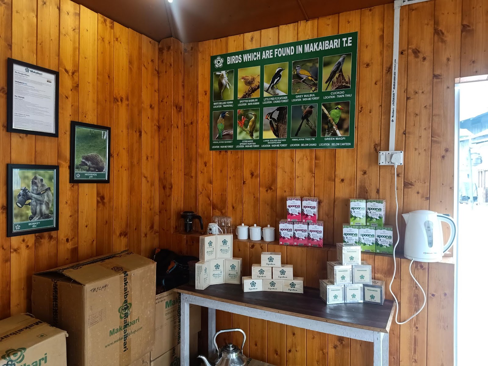 Pankhabari Tea Garden