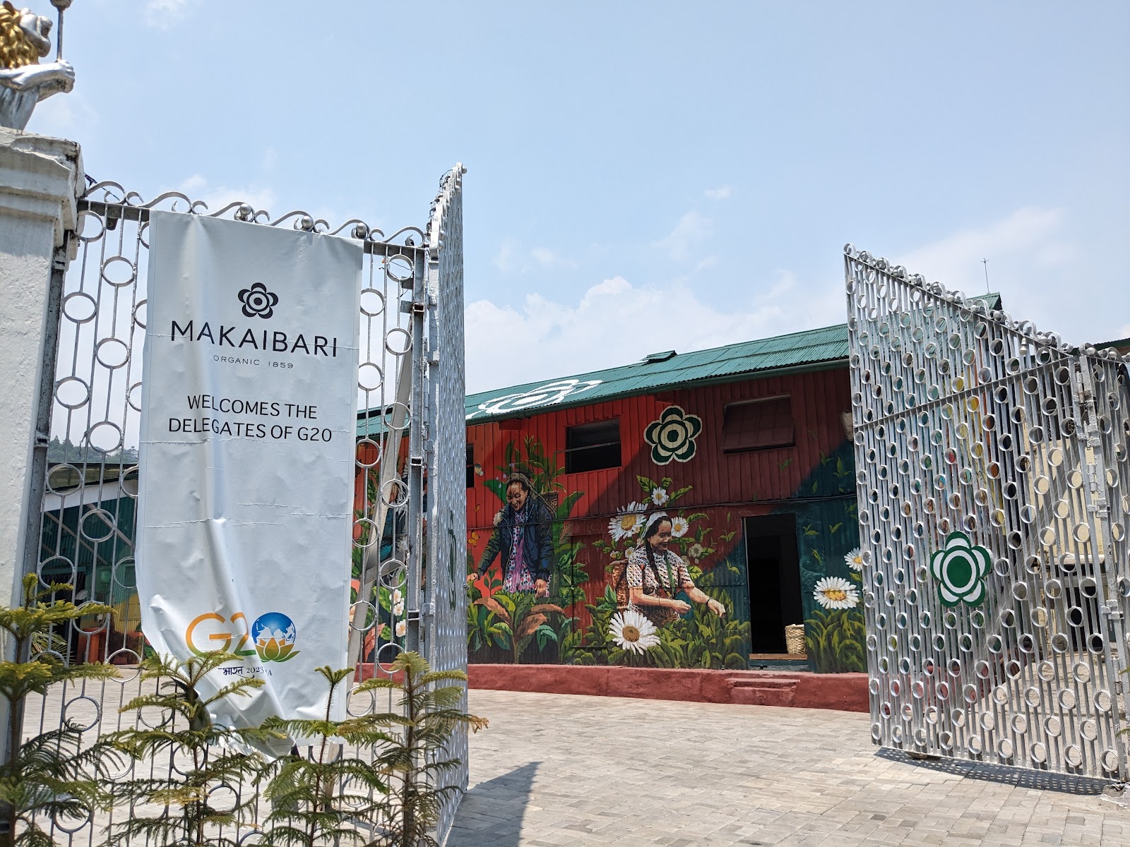 Pankhabari Tea Garden