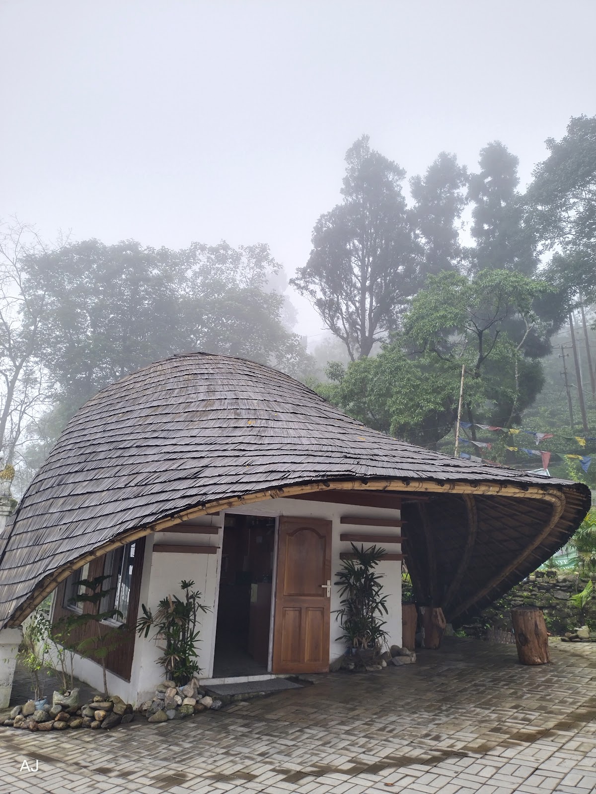 Pankhabari Tea Garden