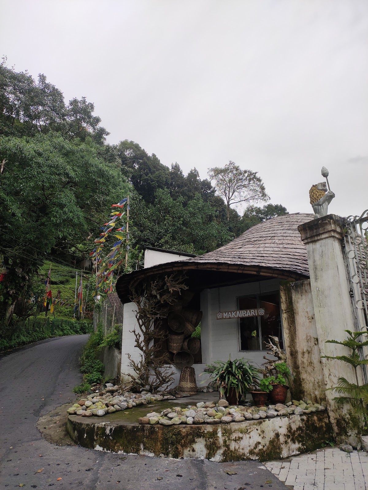 Pankhabari Tea Garden