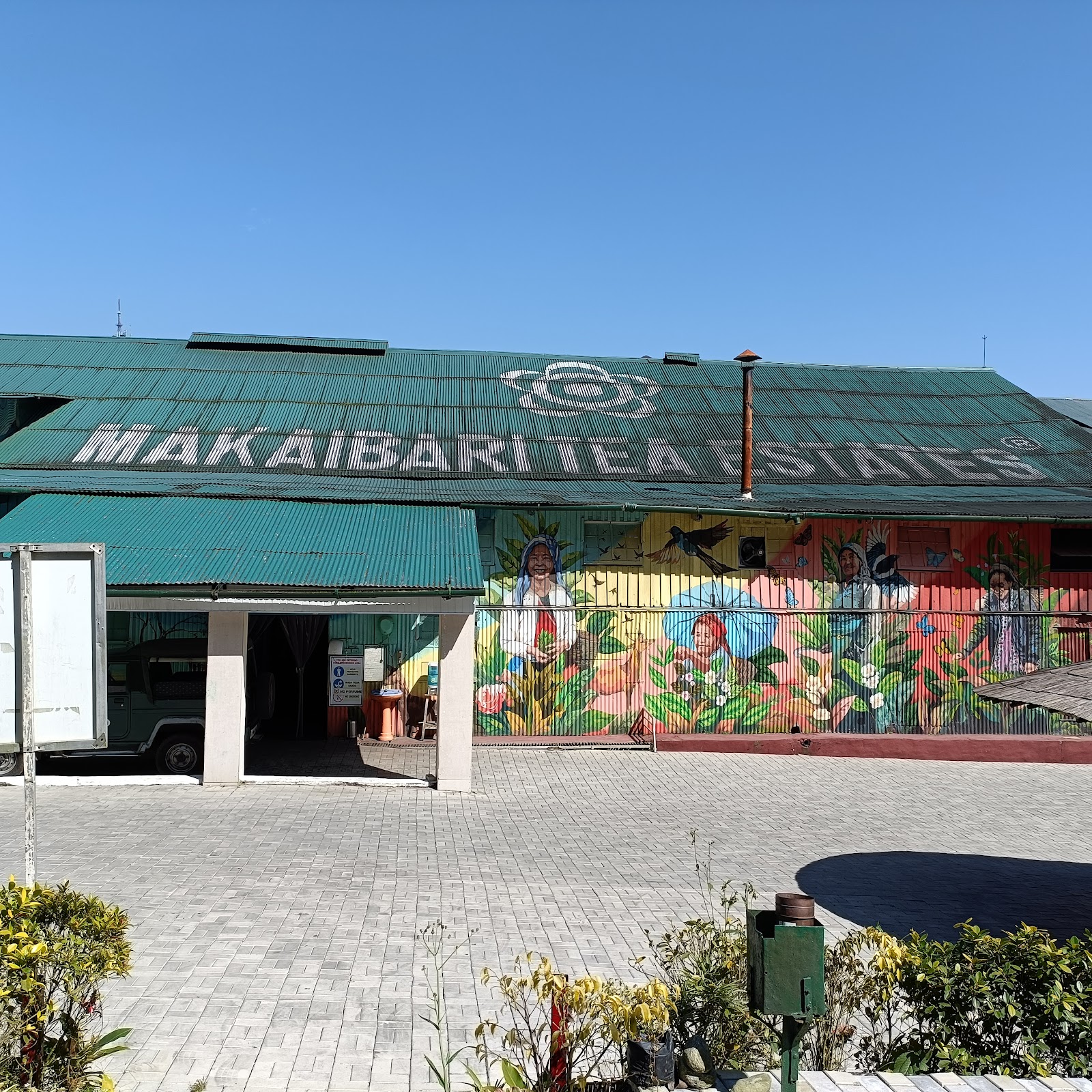 Pankhabari Tea Garden