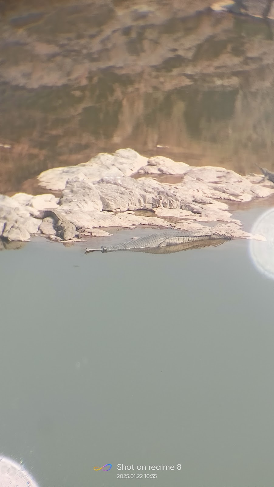 Ken Gharial Sanctuary