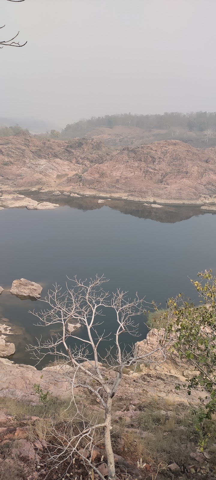 Ken Gharial Sanctuary