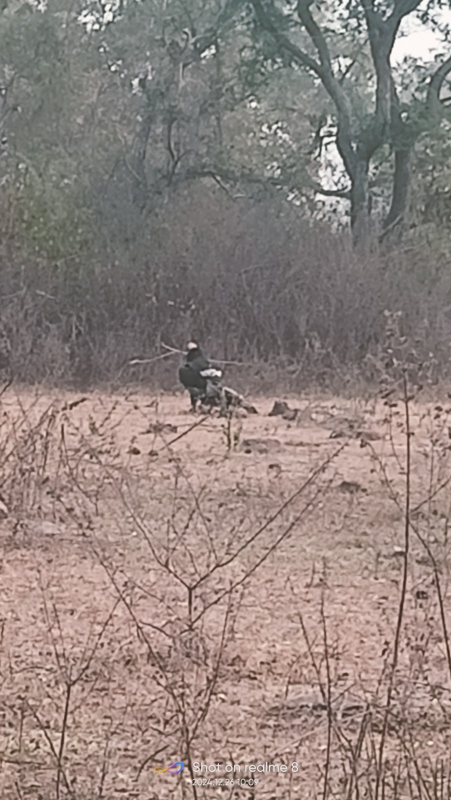 Ken Gharial Sanctuary