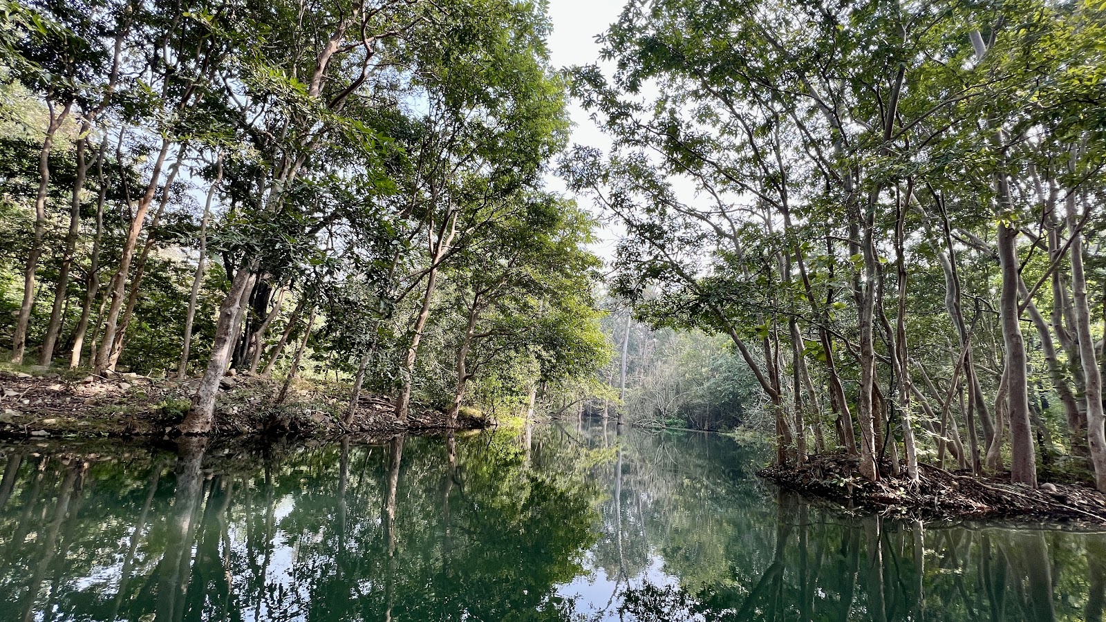 Panna National Park Museum