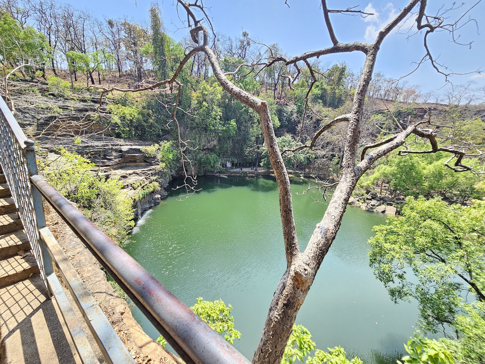 Panna National Park Museum