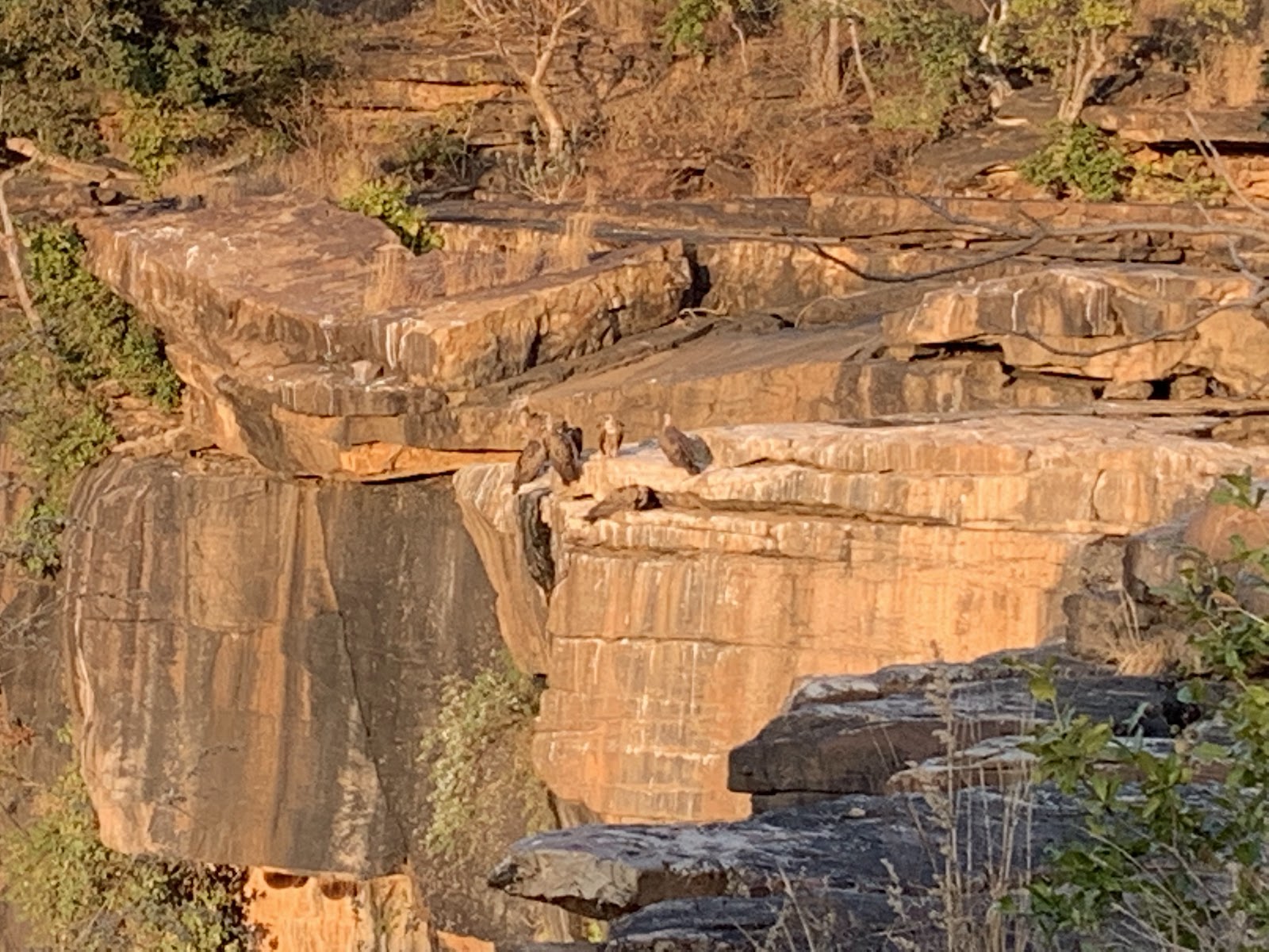 Panna National Park Museum