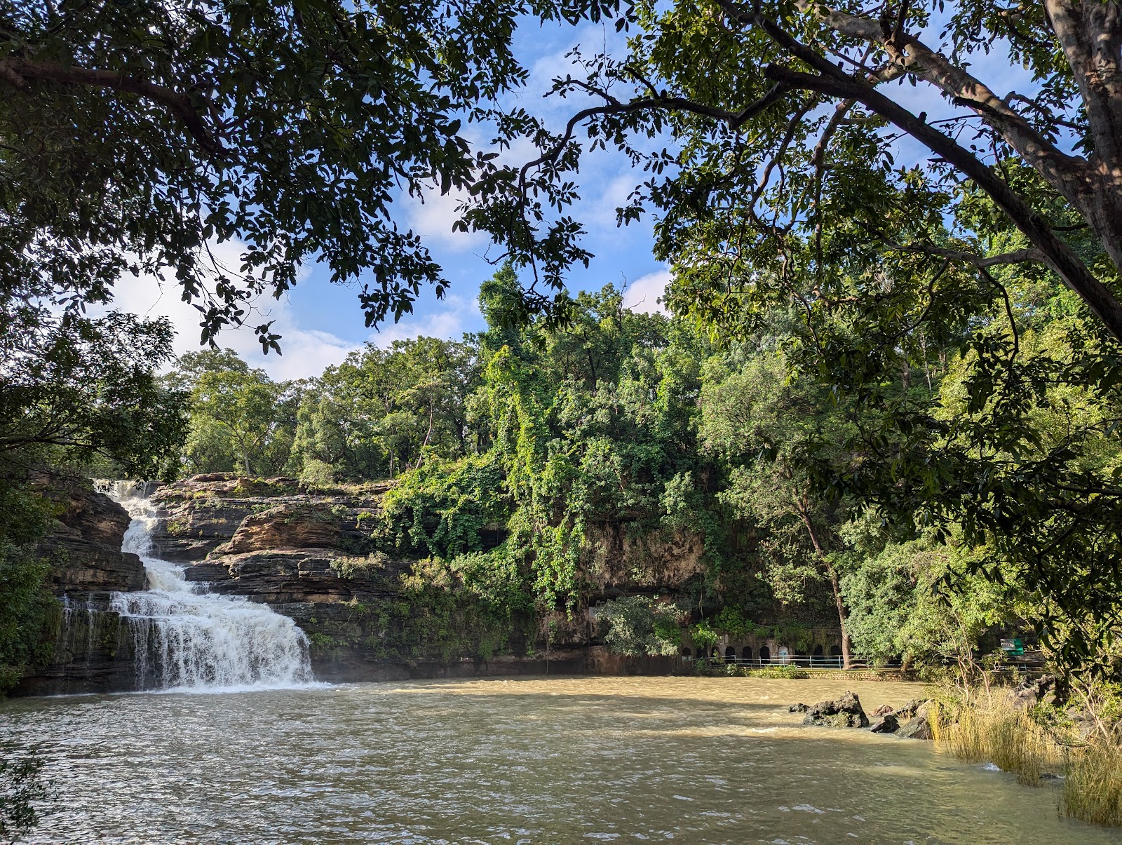 Panna National Park Museum