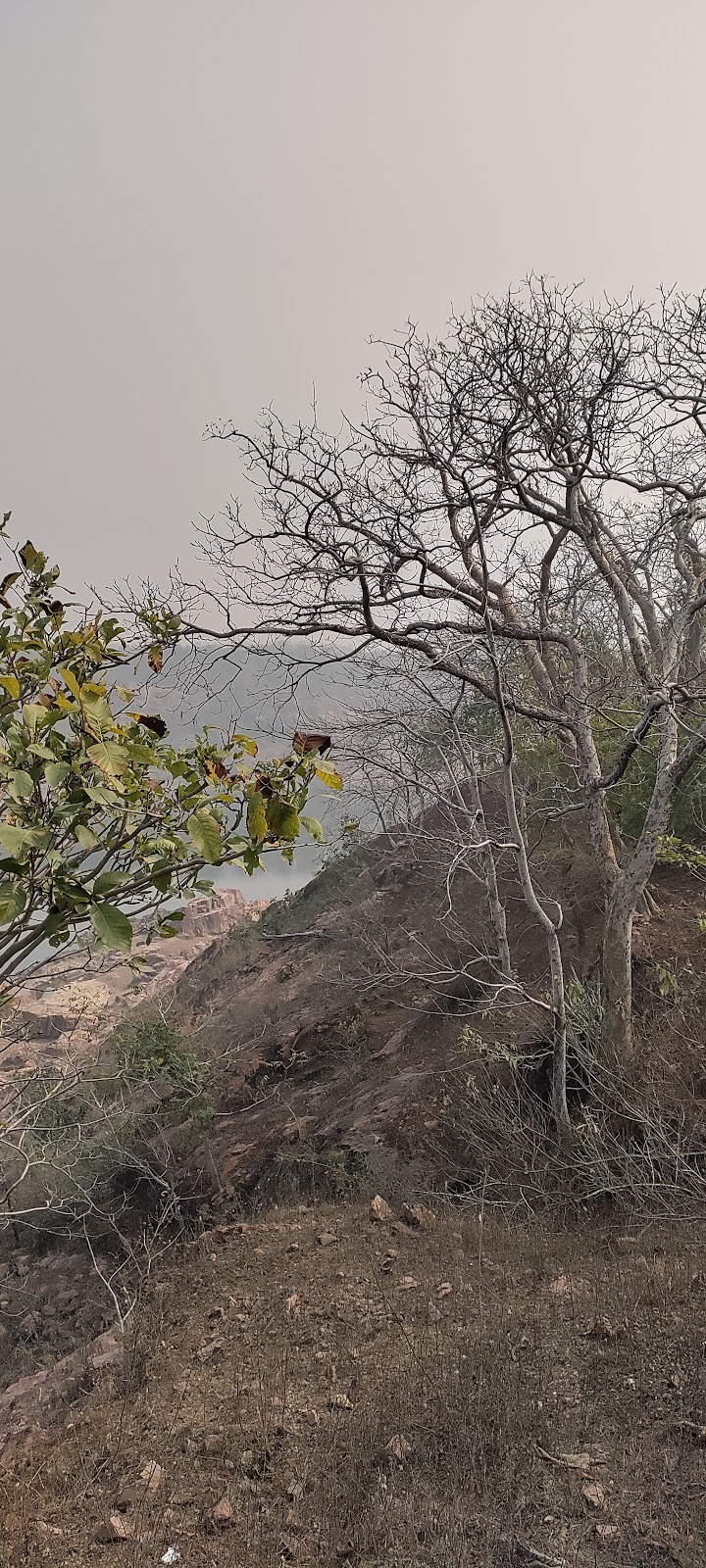 Ken Gharial Sanctuary