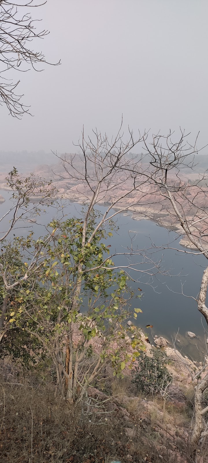 Ken Gharial Sanctuary