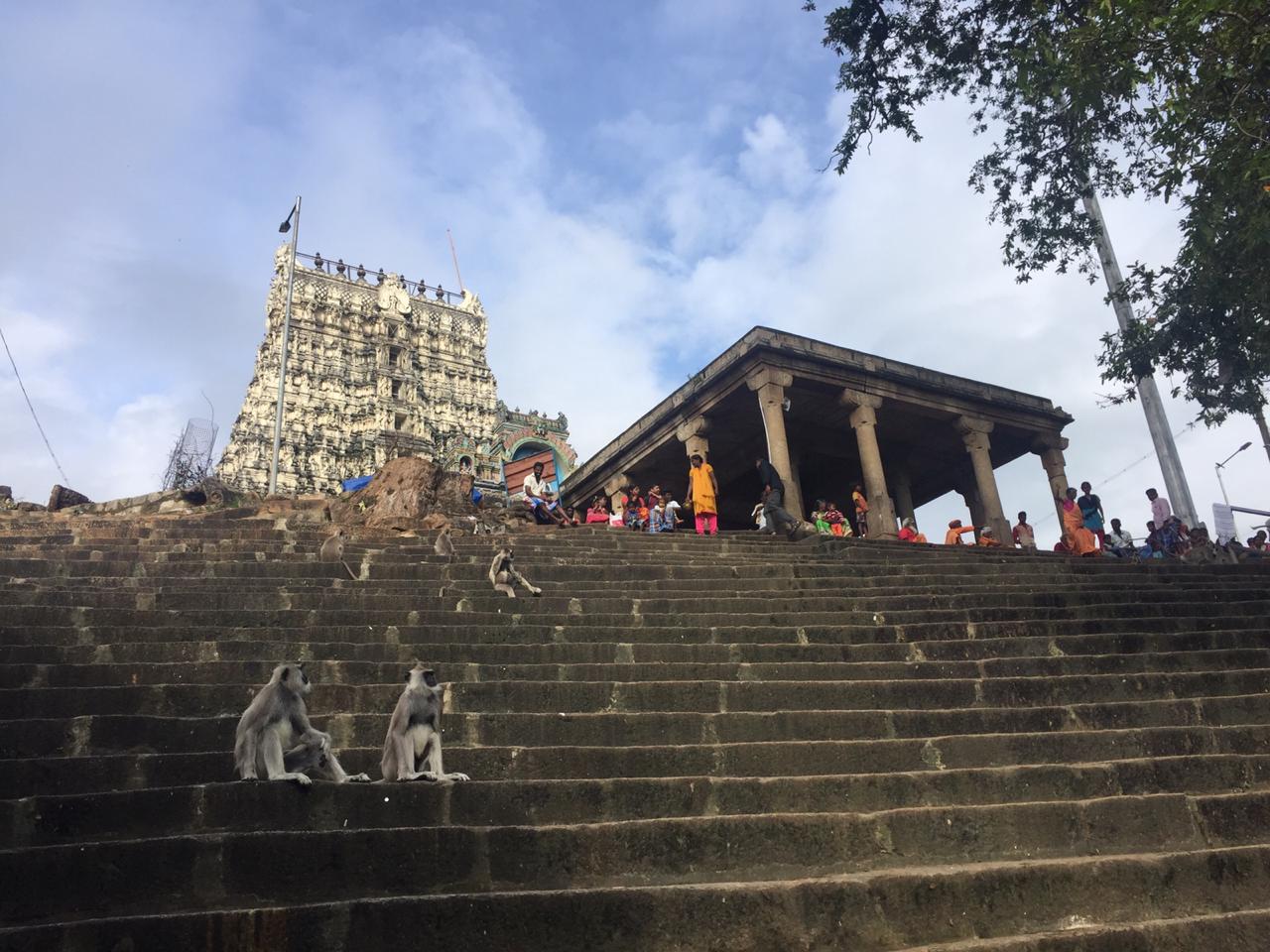 Local Temples Tour