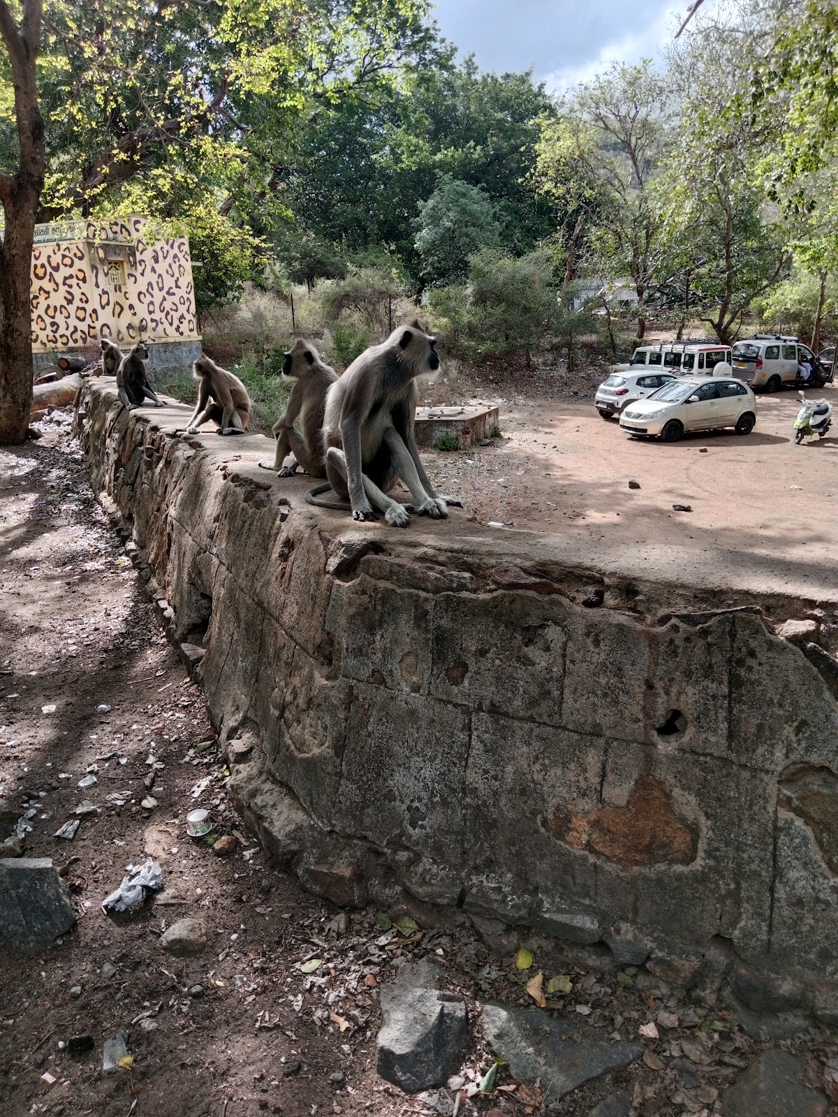 Papanasam Waterfalls