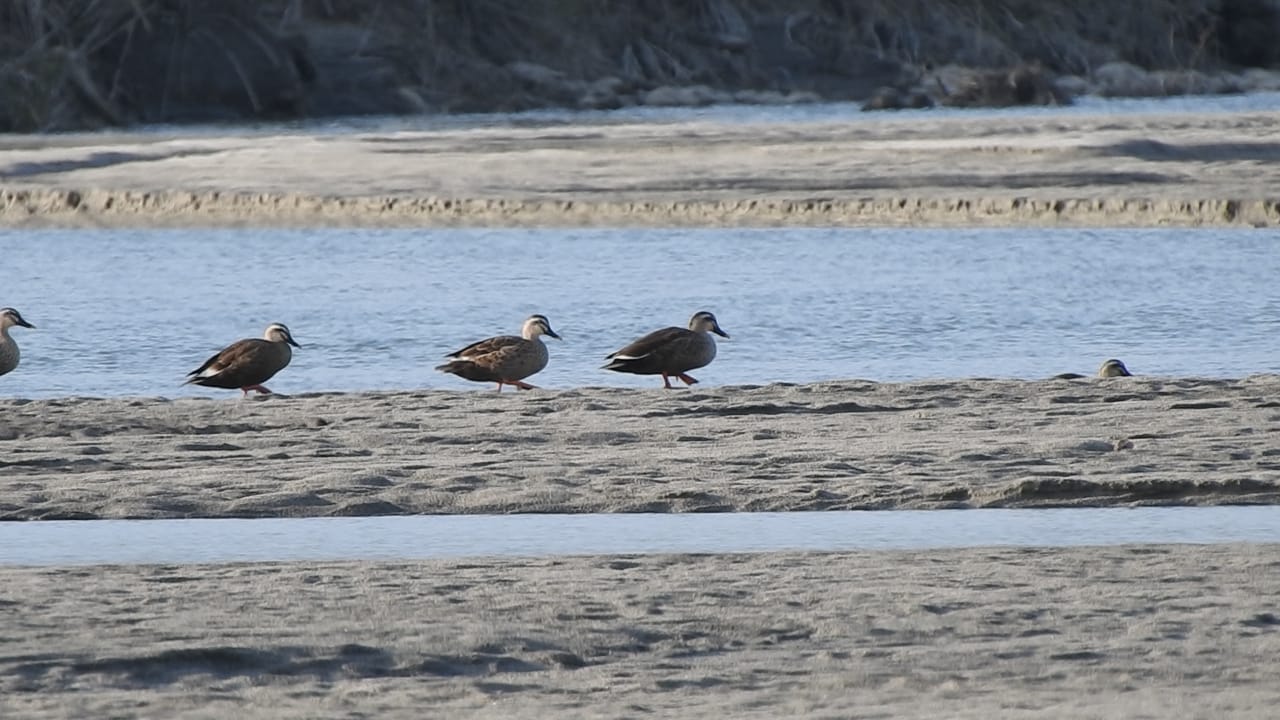 Daying Ering Wildlife Sanctuary