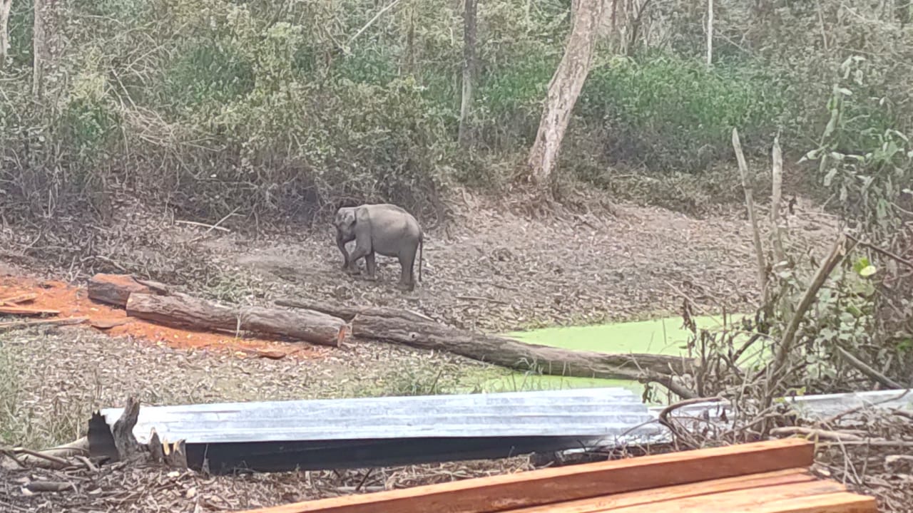 Daying Ering Wildlife Sanctuary