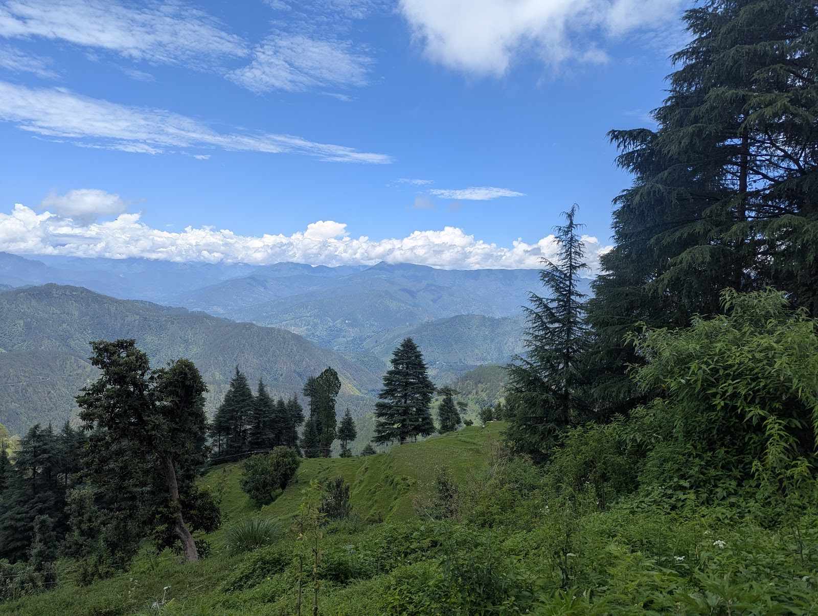 Kumaon Mandal Vikas Nigam