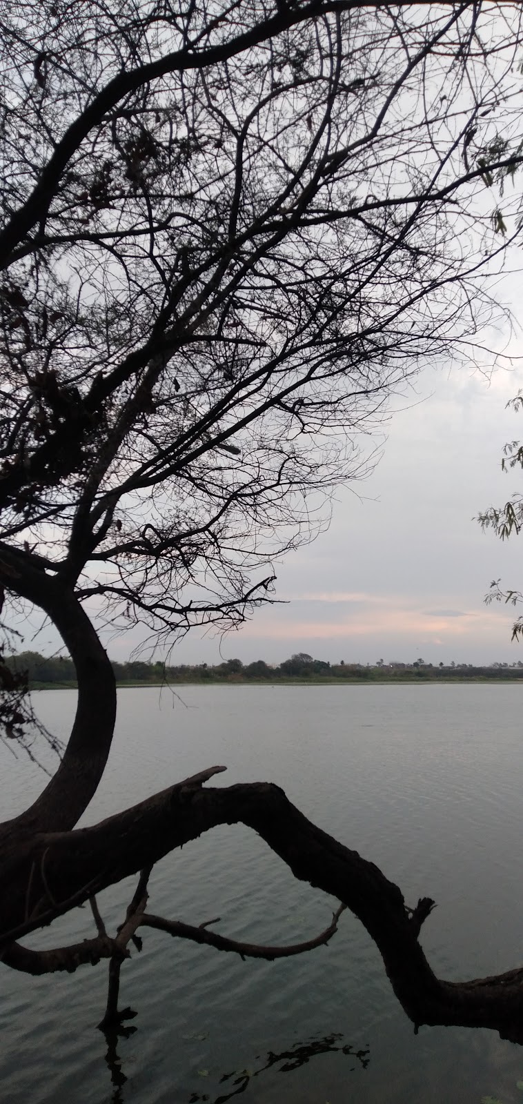 Bhatpura Lake