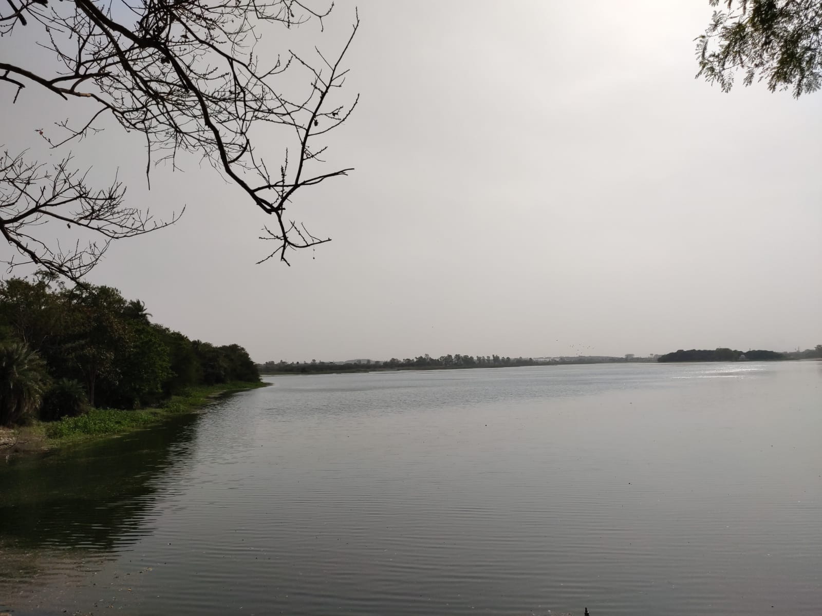 Bhatpura Lake