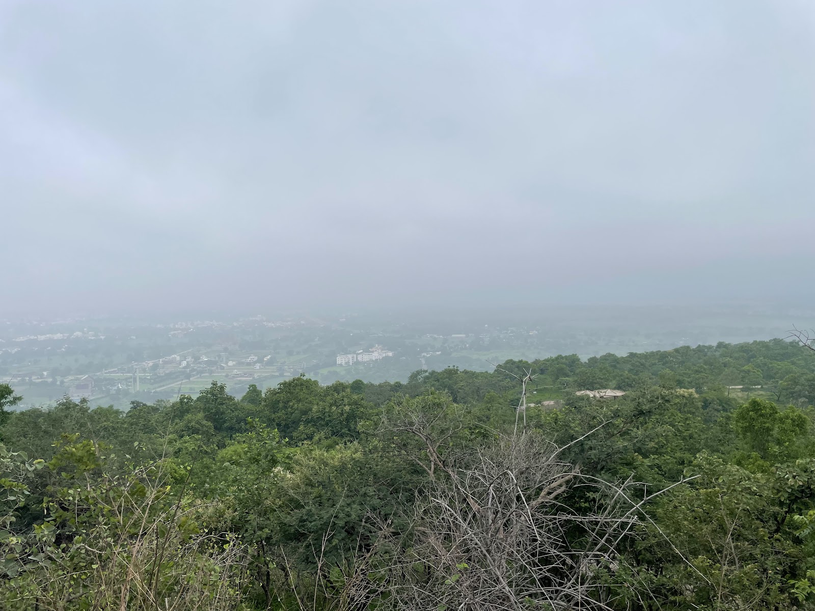 Ralamandal Wildlife Sanctuary