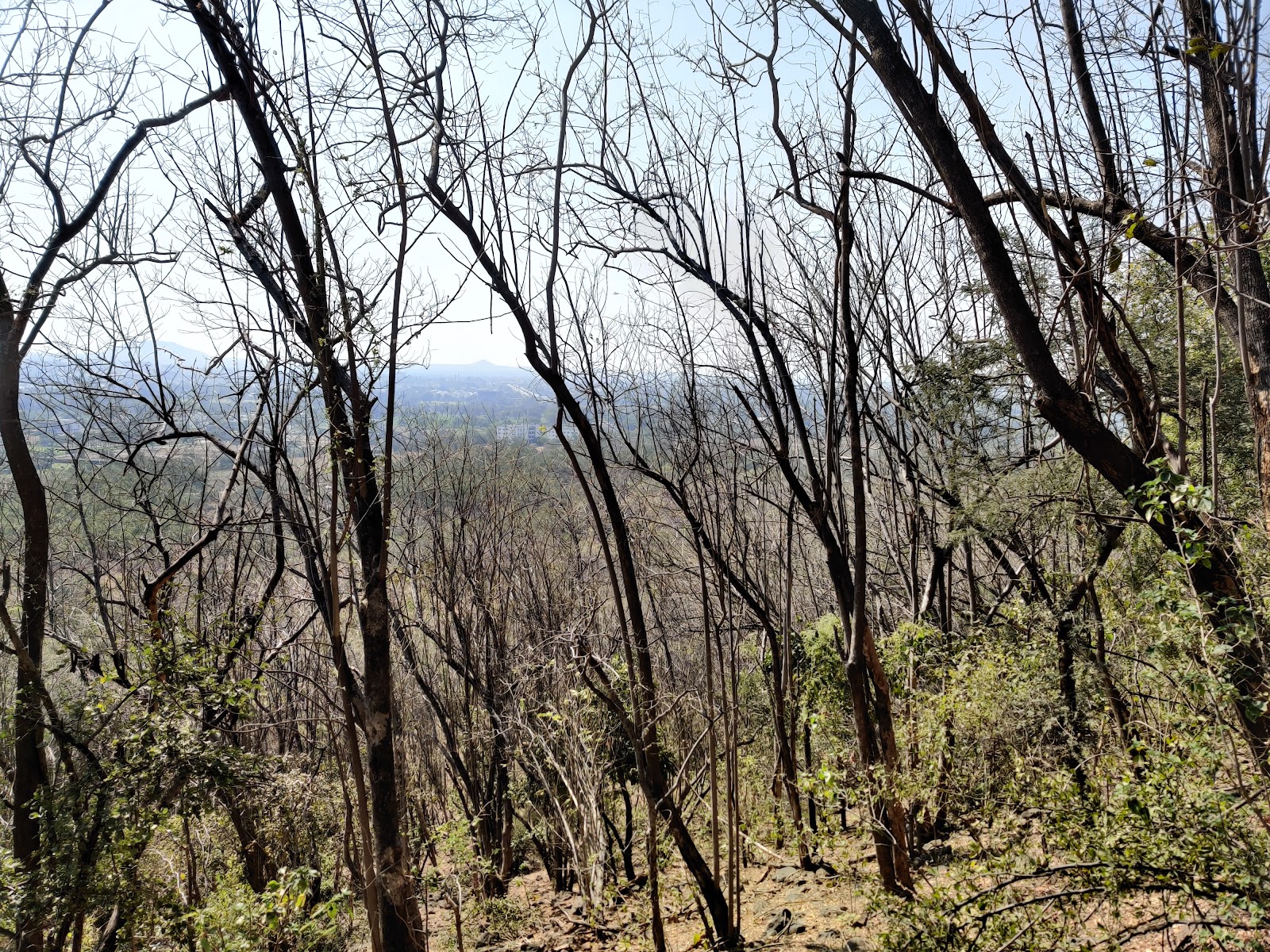 Ralamandal Wildlife Sanctuary