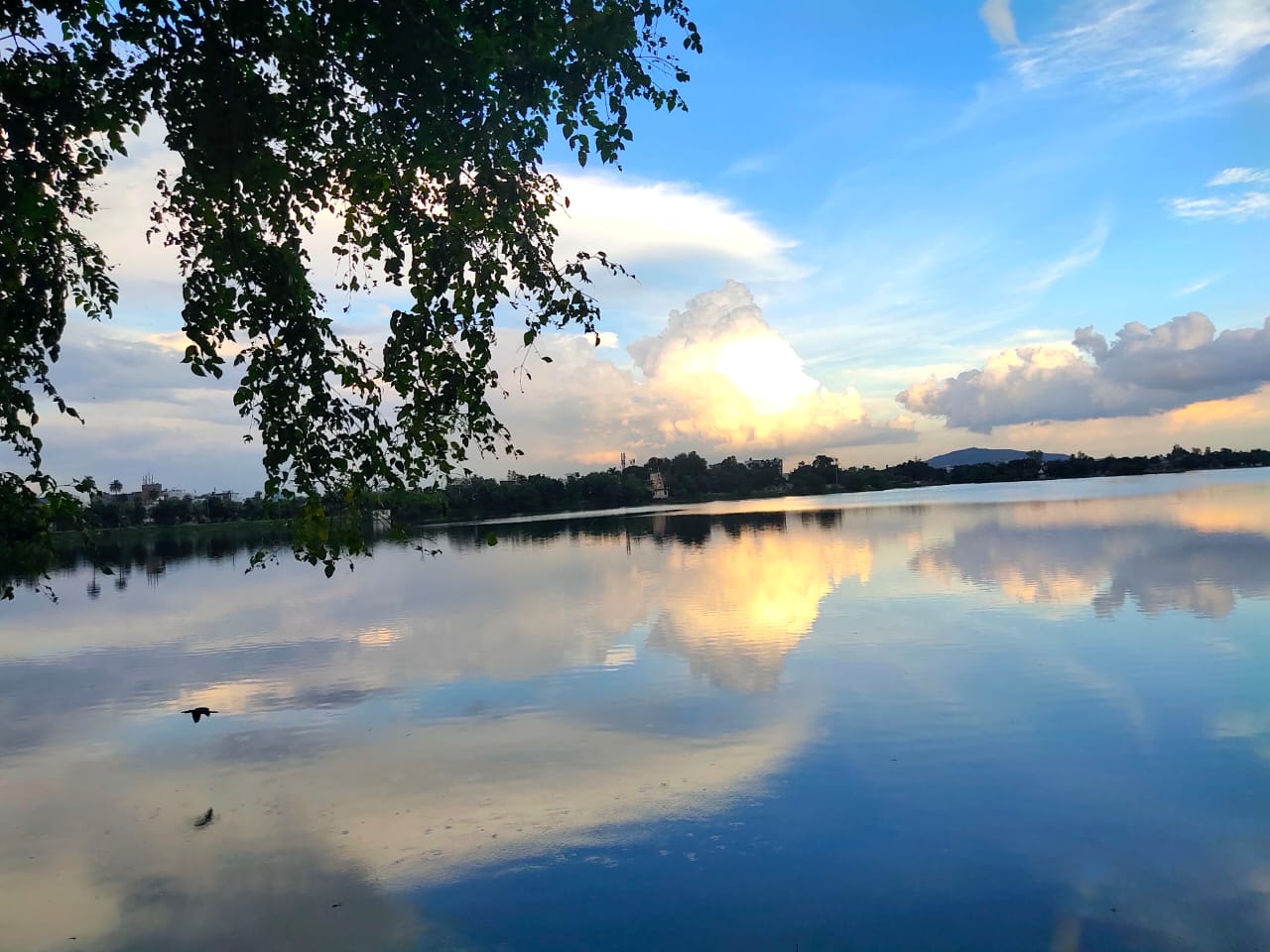 Regional Park and Planetarium Indore