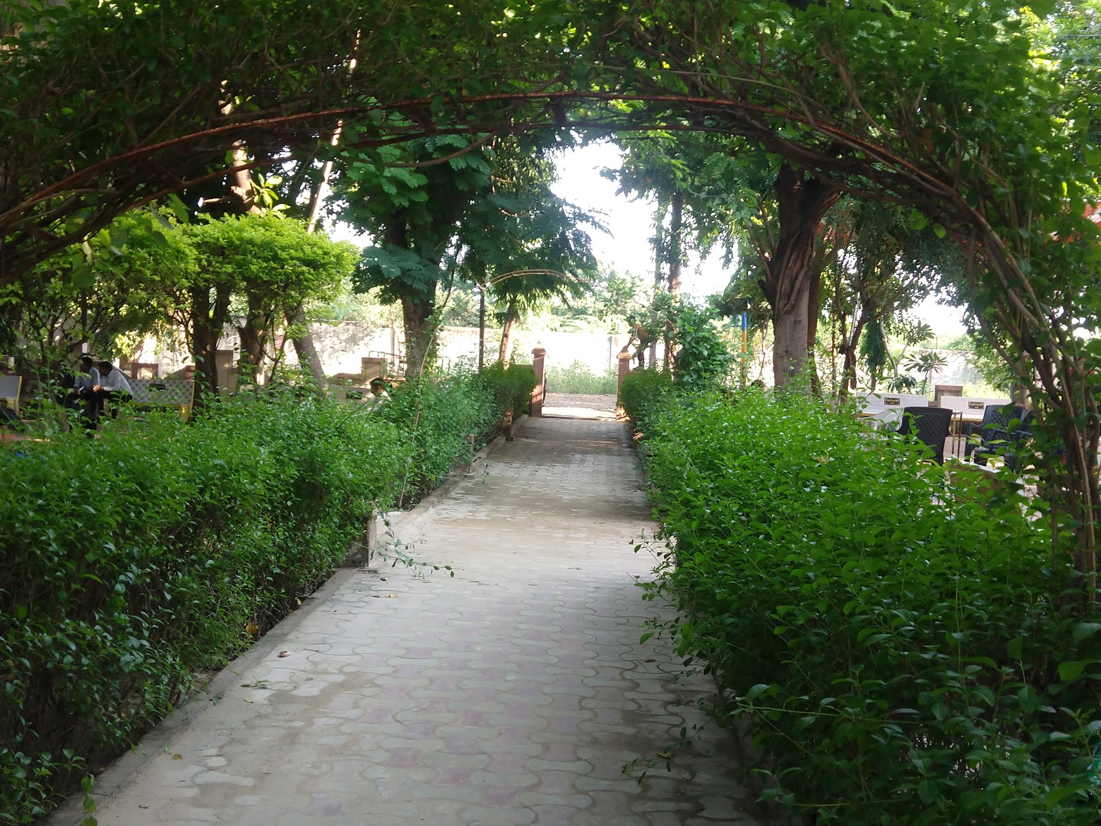 Brahmani Mata Temple