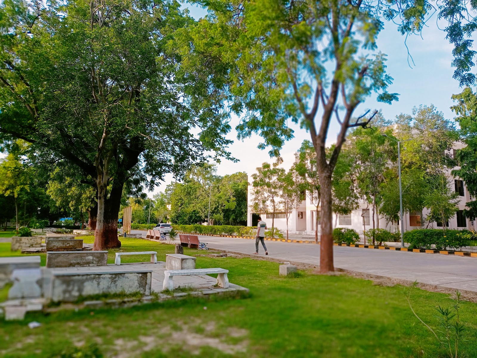 Hemchandracharya University