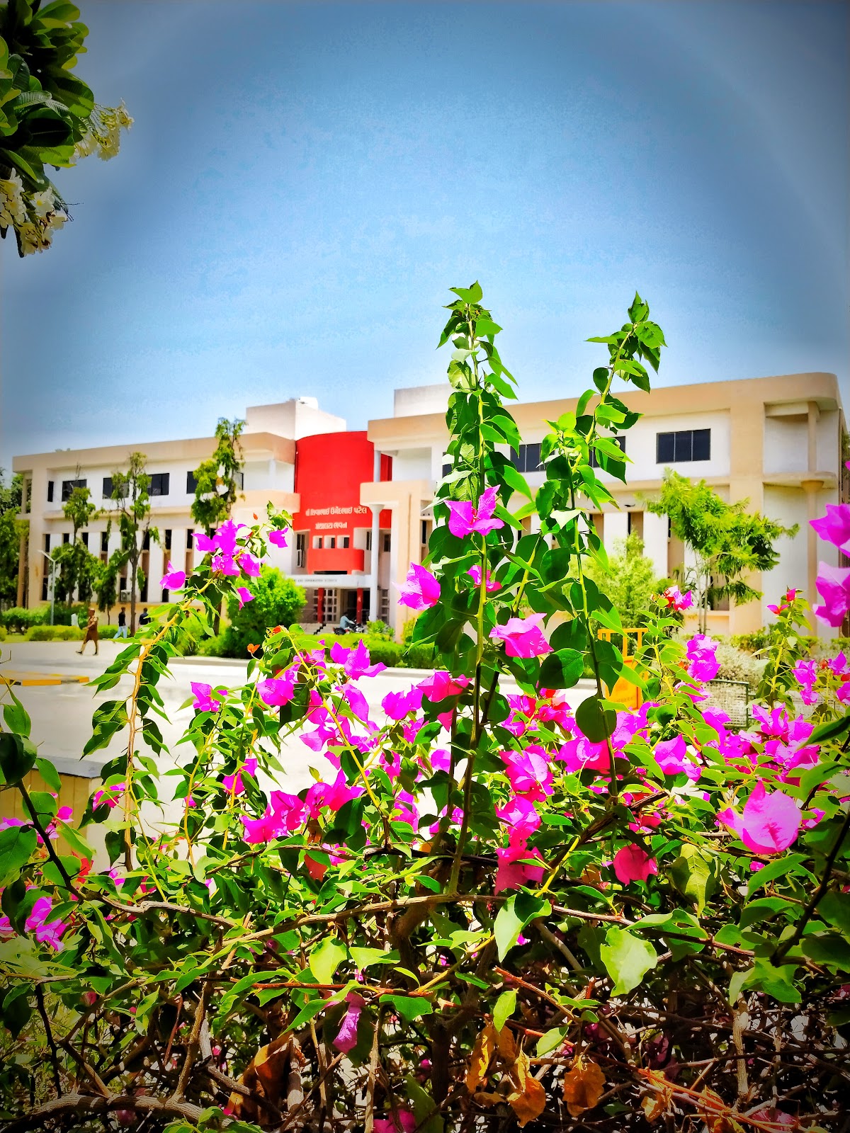 Hemchandracharya University