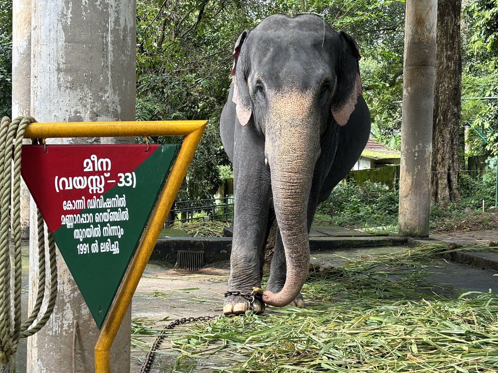 Konni Elephant Training Centre