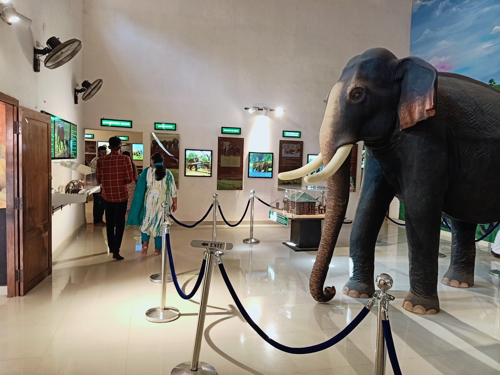 Konni Elephant Training Centre