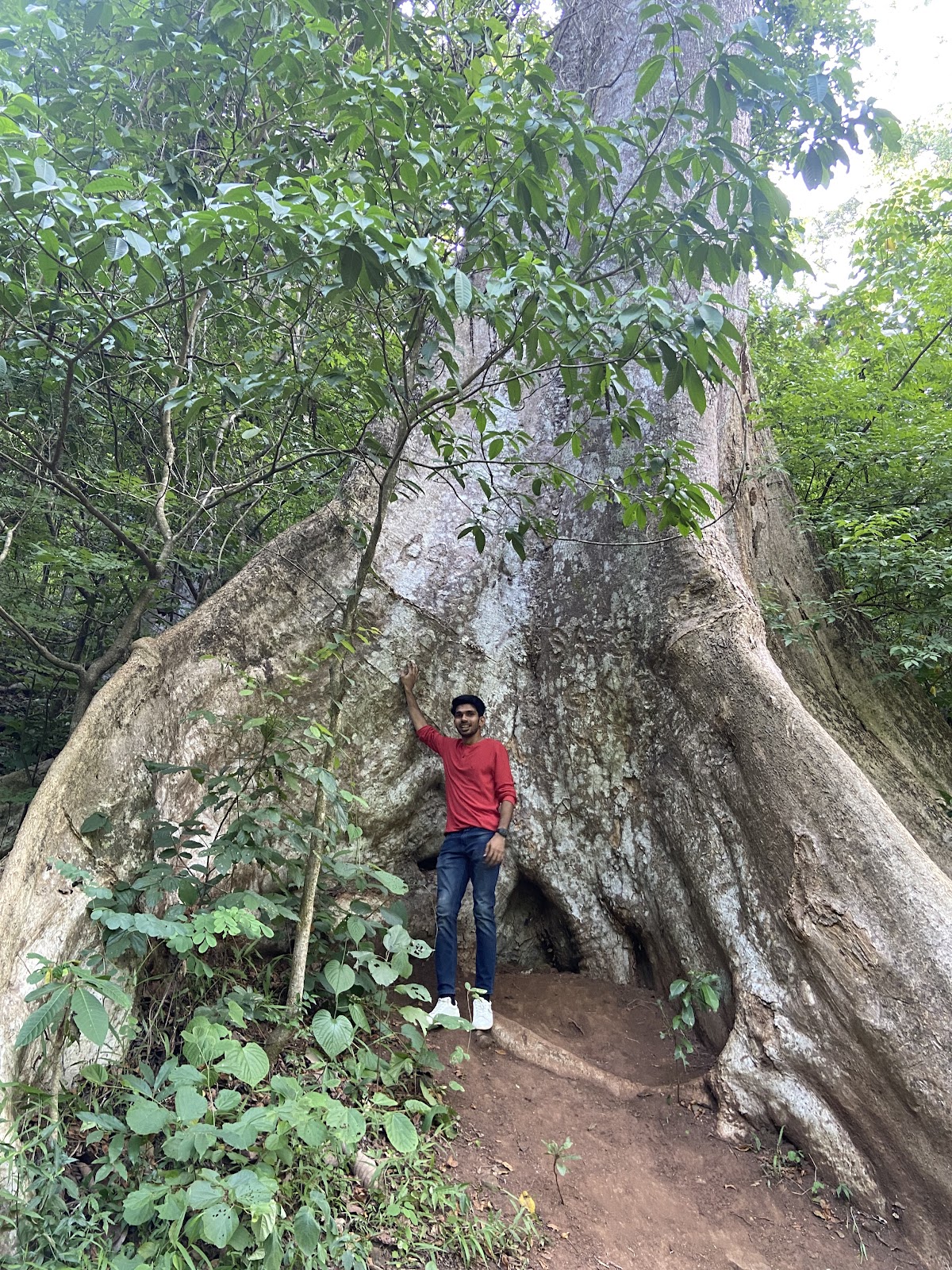 Kumbhavurutty Waterfalls