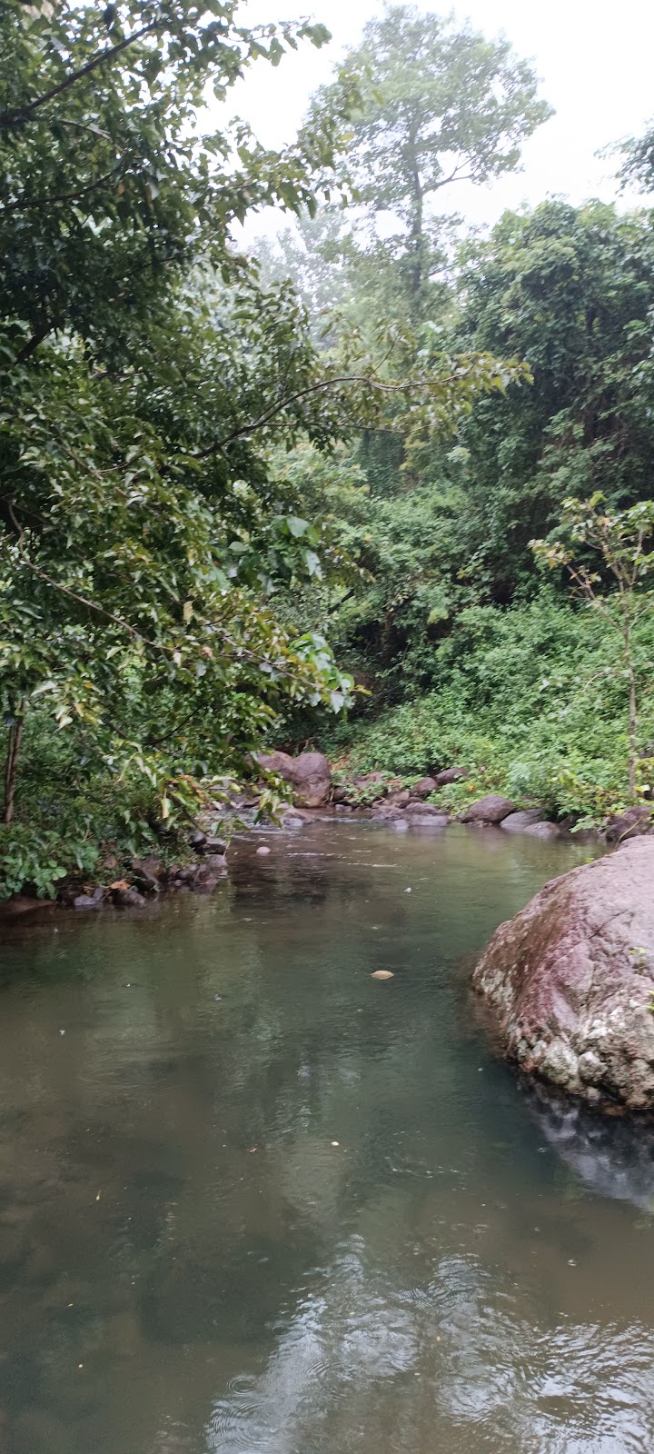 Kumbhavurutty Waterfalls