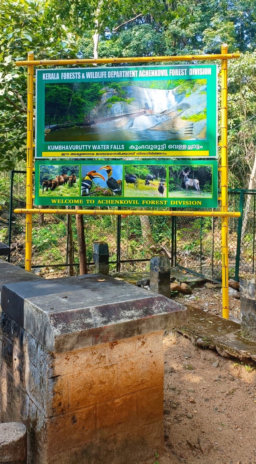 Kumbhavurutty Waterfalls