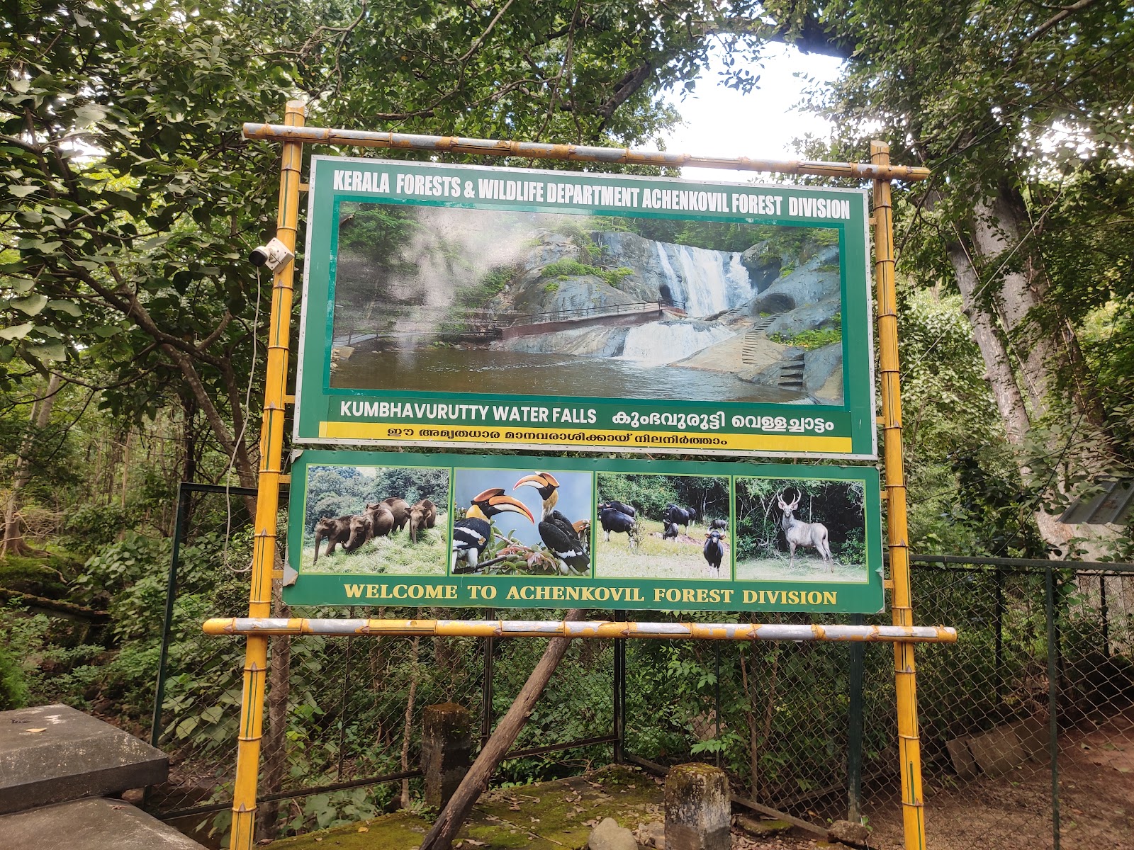Kumbhavurutty Waterfalls