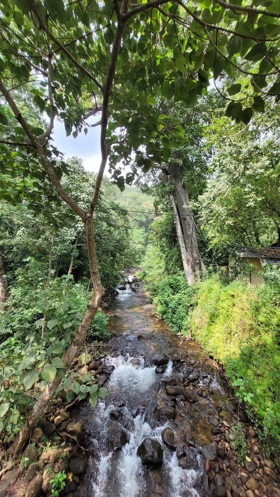 Kumbhavurutty Waterfalls