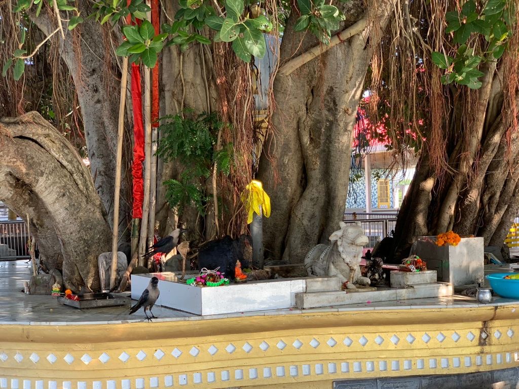 Kathgarh Mahadev Temple